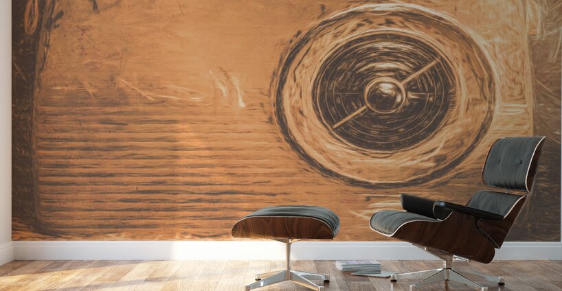 Radio Retro Wall Murals