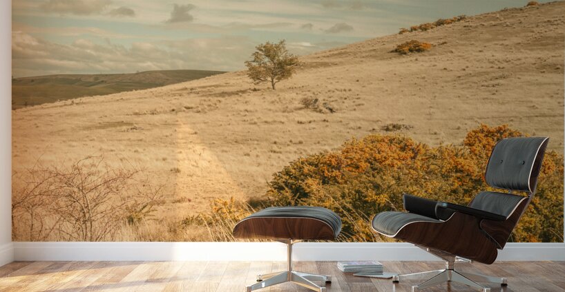 Country colours Wall Murals