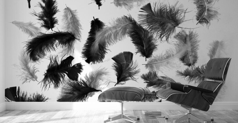 Flock in feather Wall Murals