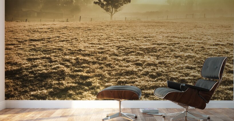 Plain morning Wall Murals