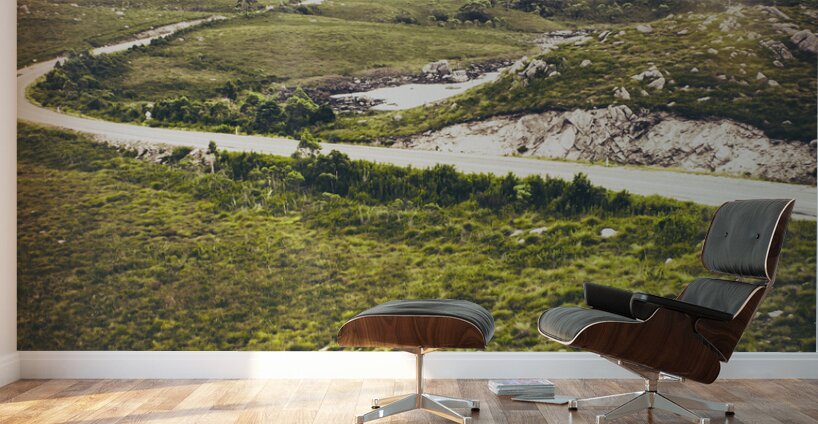 Mountain scene in West Coast of Tasmania Australia Wall Murals