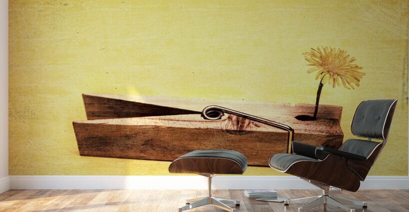 Clothespins and dandelions Wall Murals