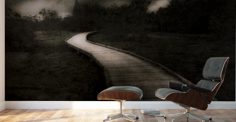 Path To The Unknown Wall Murals