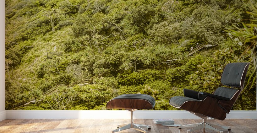 Forest footbridge Wall Murals