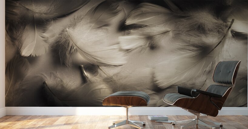 Soft contrasts Wall Murals
