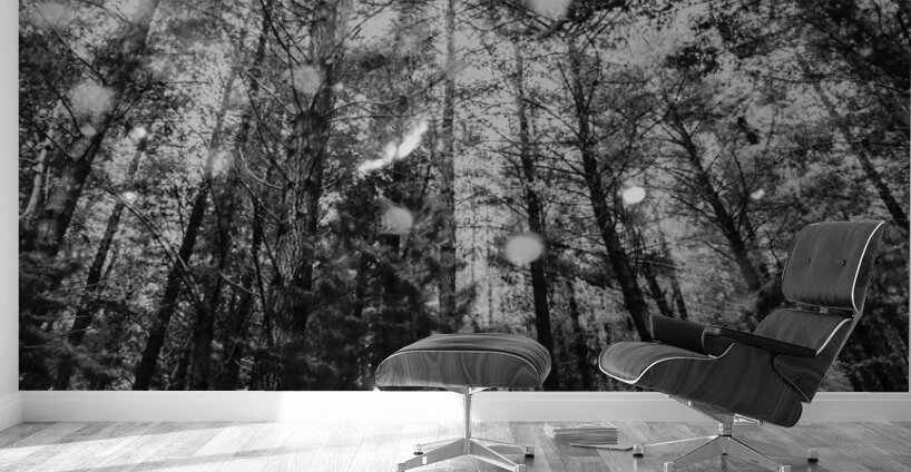 Reigning pines Wall Murals