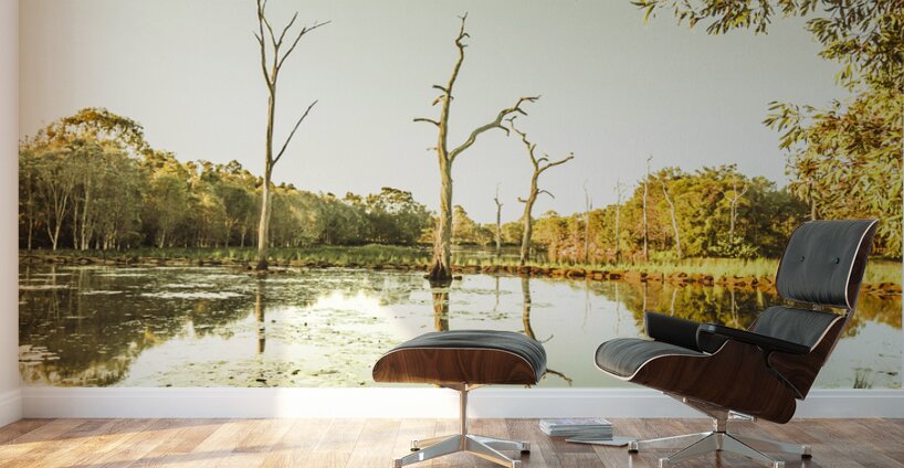 Still lake afternoon  Wall Murals