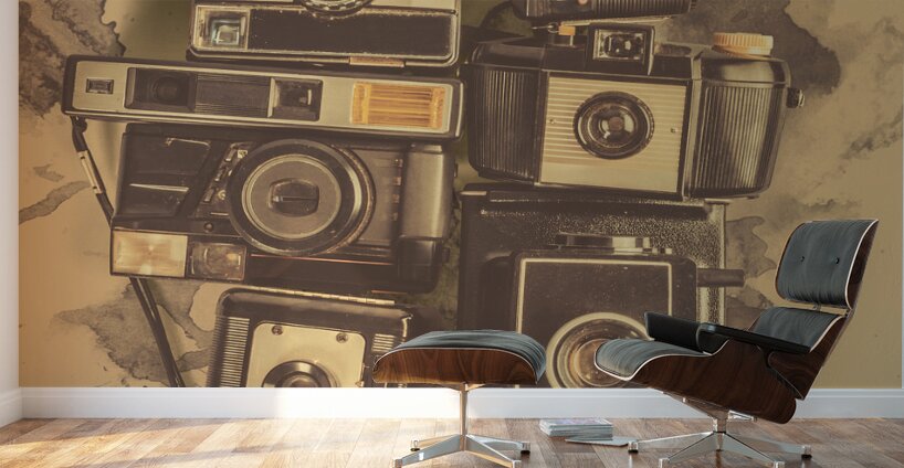 Emulsion Wall Murals