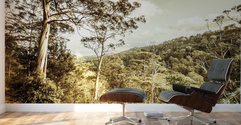 Bush views and lookouts Wall Murals