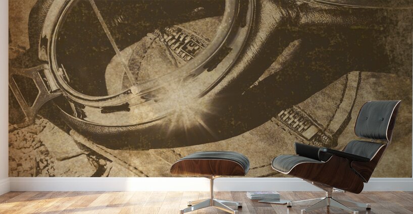 The antique aviator Wall Murals