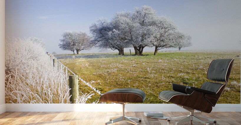 Fine art winter scene Wall Murals