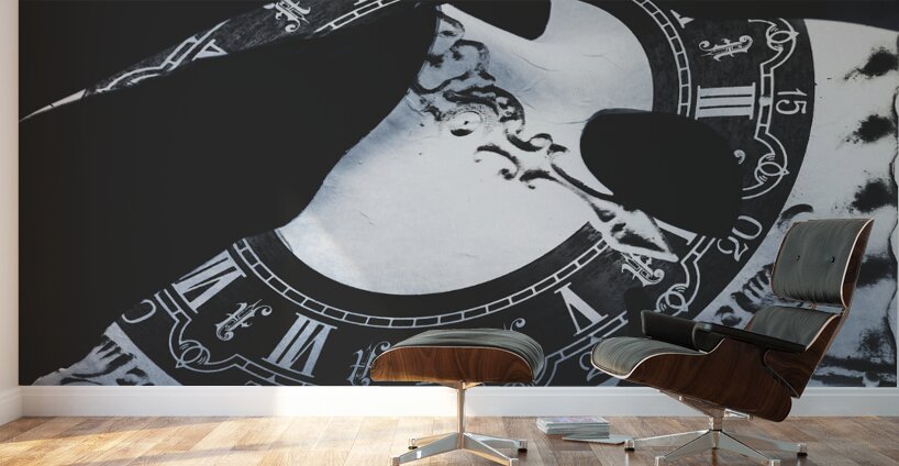 Timeworn Wall Murals