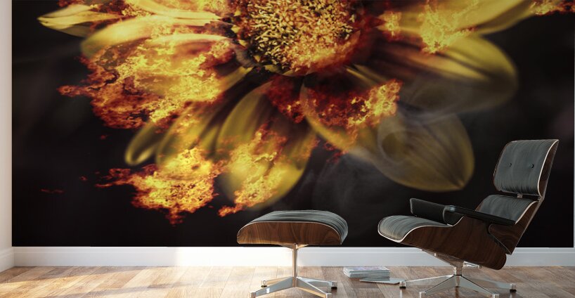 Flames of passion and intimacy Wall Murals