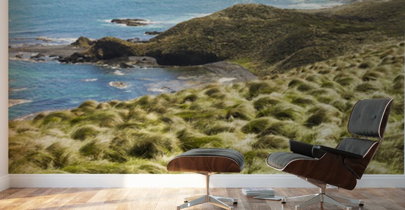 Vibrant cape seascape Wall Murals