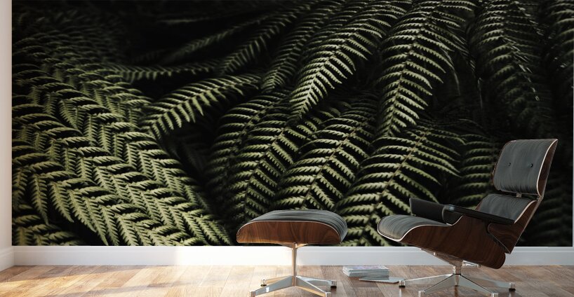The exotic dark jungle Wall Murals