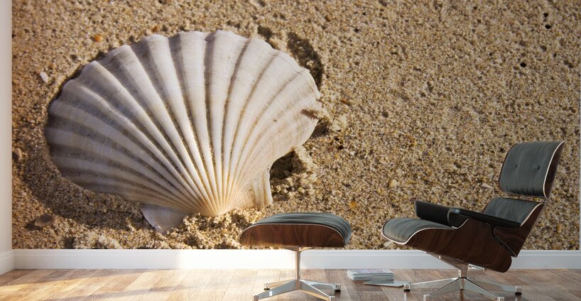 Sandy Shell Wall Murals
