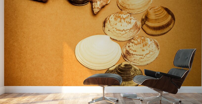 Marine Seashell Seahorse Design Wall Murals