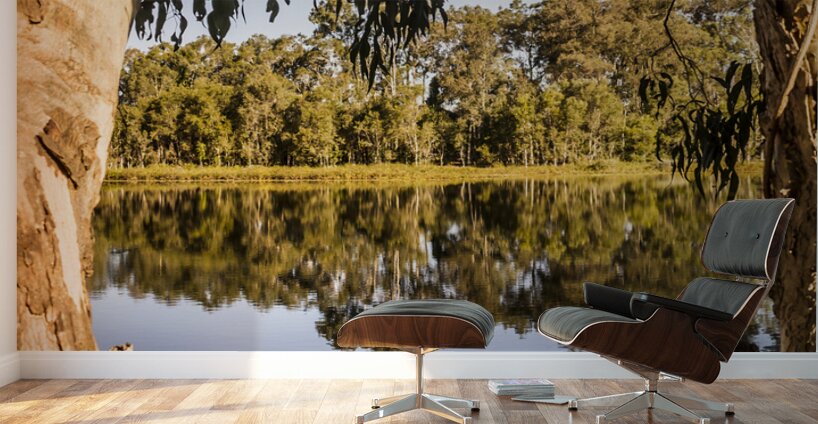 Framing stillness Wall Murals