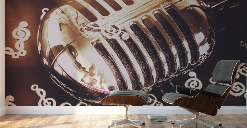 Classics at the audio hall Wall Murals