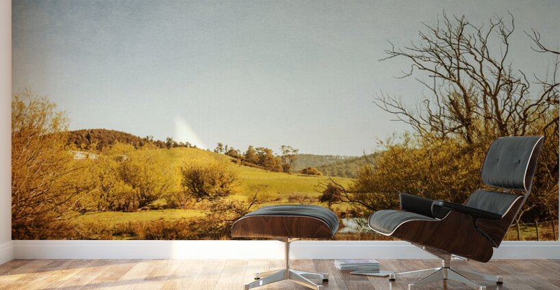 Rustic Pastoral Australia Wall Murals