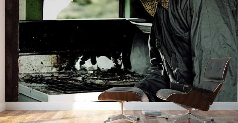 Mr Bungle The Kitchen Clown Wall Murals