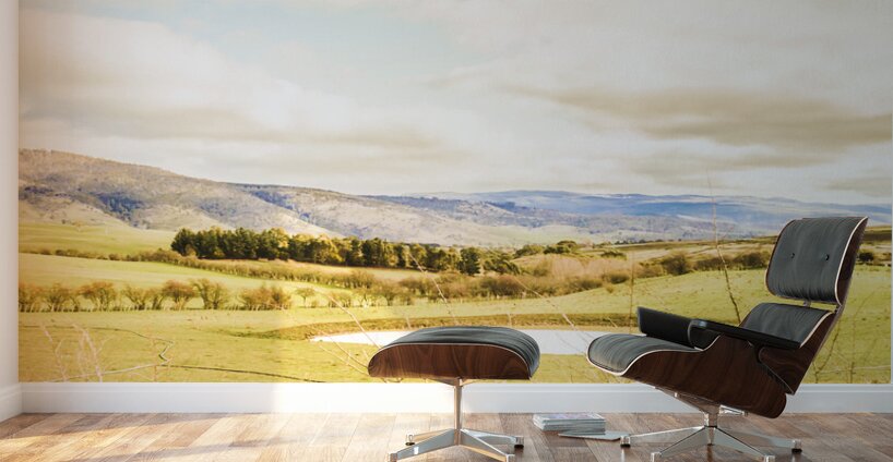 Australian open spaces  Wall Murals