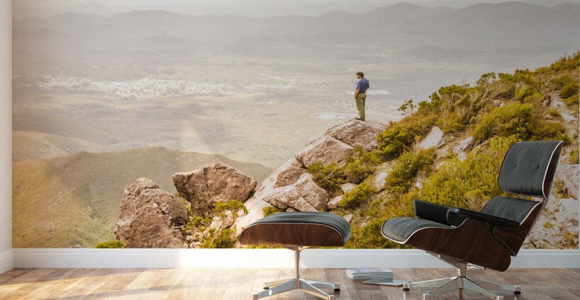 Views On West Coast Tasmania  Wall Murals