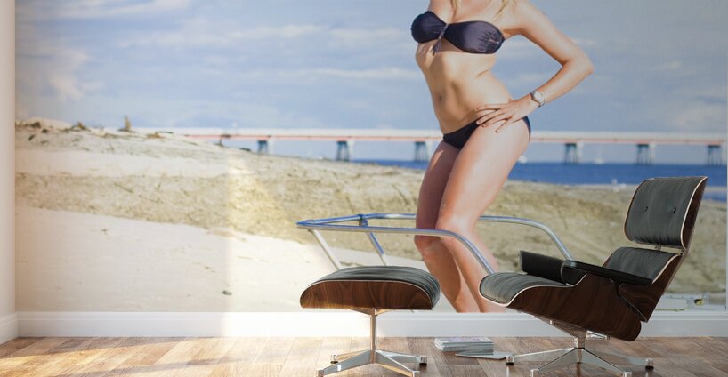 Travel Holiday Lookout Wall Murals