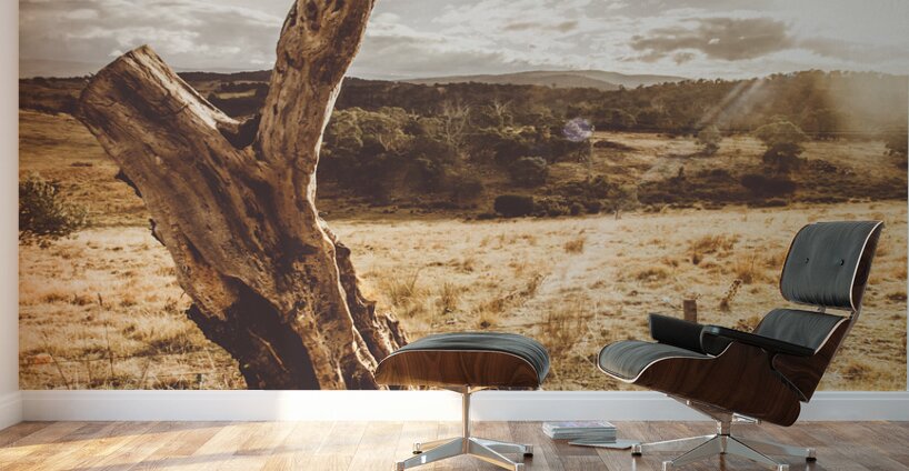 Arid Tasmania bush landscape Wall Murals