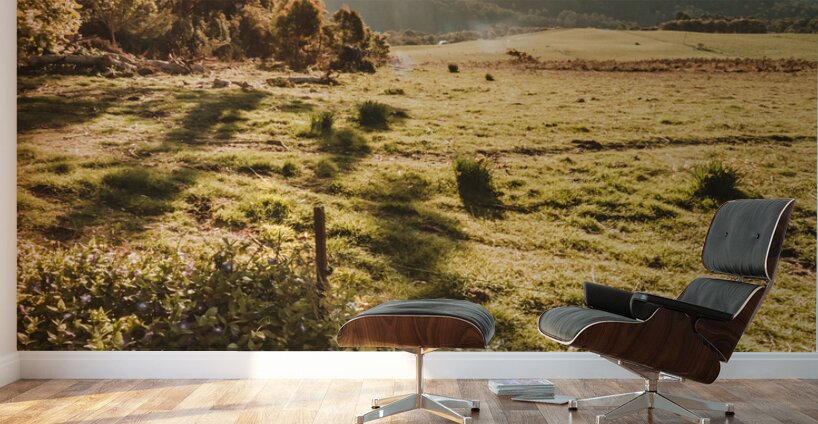 Dusky fields Wall Murals