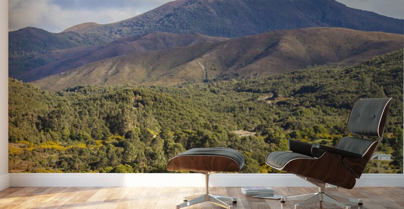 Mount Zeehan Valley Town. West Tasmania Australia Wall Murals