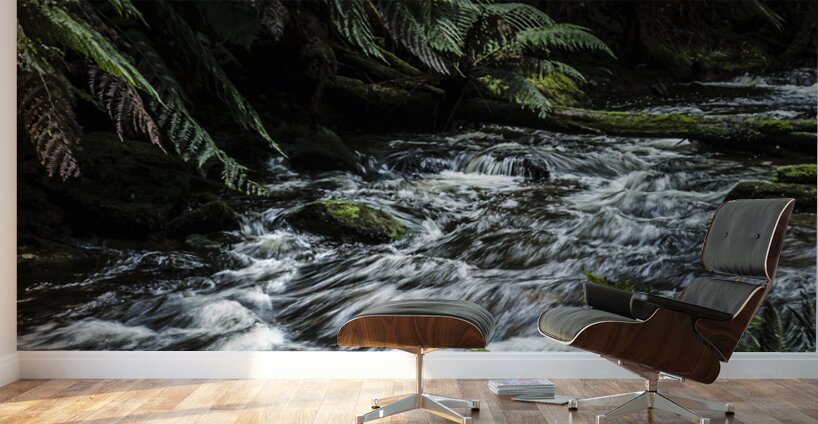 Jungle waters Wall Murals