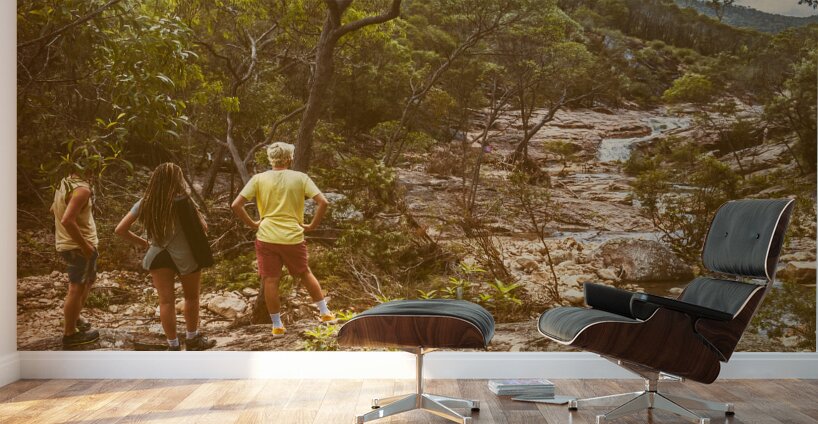 Waterfall outlook Wall Murals