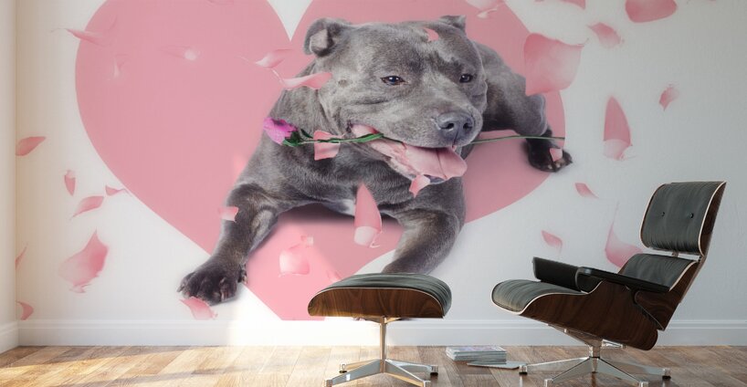 Dog with pink rose on heart shape background Wall Murals