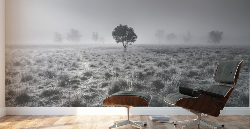 Wondrous misty background Wall Murals