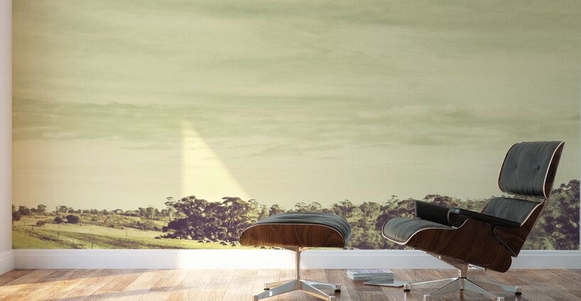 Sheep grazing in rustic Richmond Wall Murals