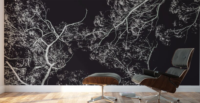 Woodland heights Wall Murals
