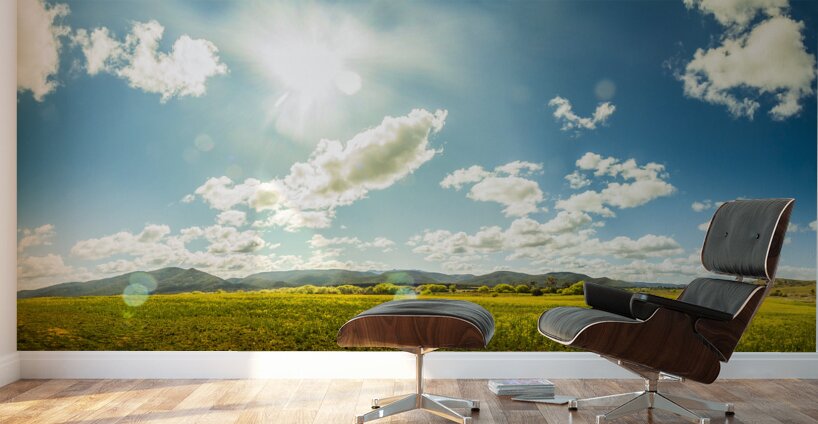 Spring country Wall Murals