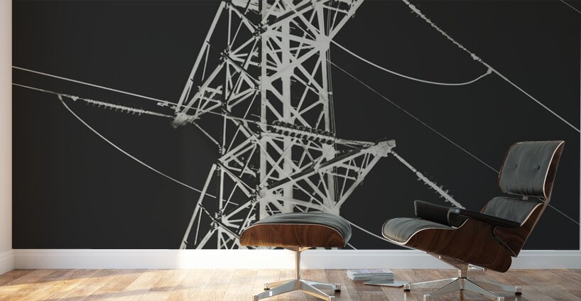 Inverter Wall Murals