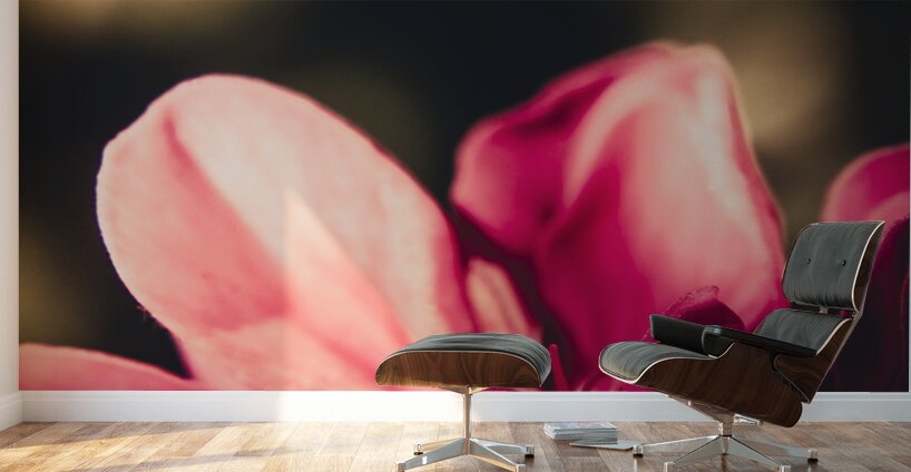 Retro flower Wall Murals