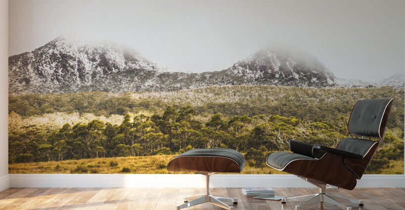 Depths and ranges  Wall Murals