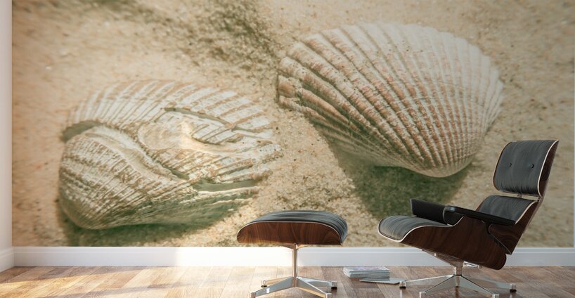 Simply coastal Wall Murals