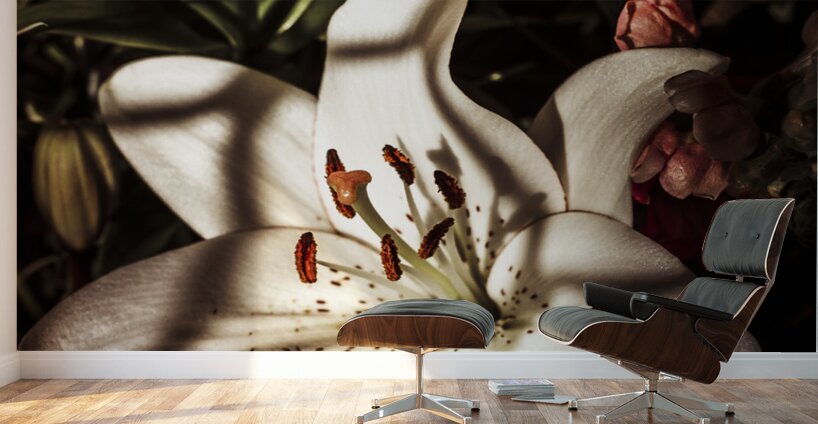 Floristry of closure Wall Murals