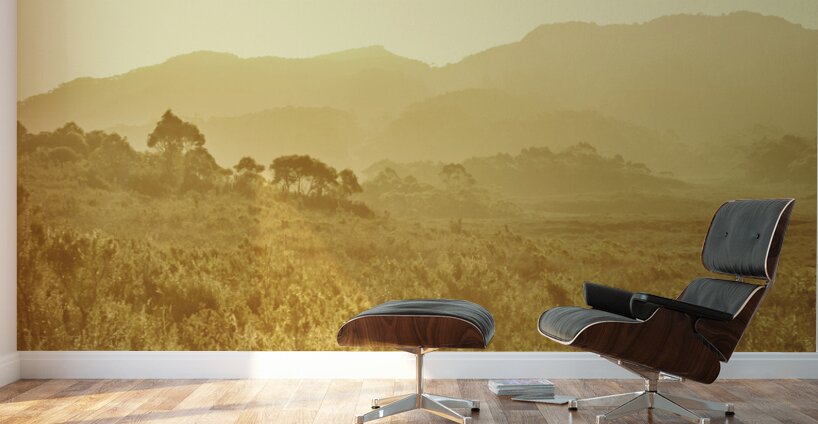 Bushland of western dynamics Wall Murals