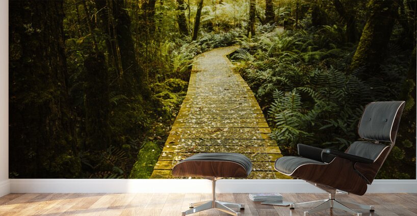 Lush Green Rainforest Walk Wall Murals