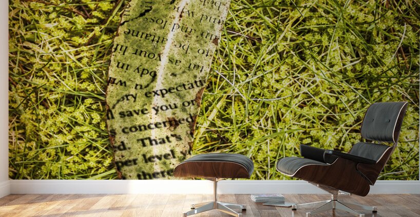 Wisdom in nature Wall Murals