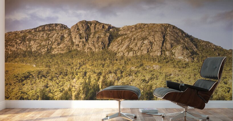 Mountain wide Wall Murals