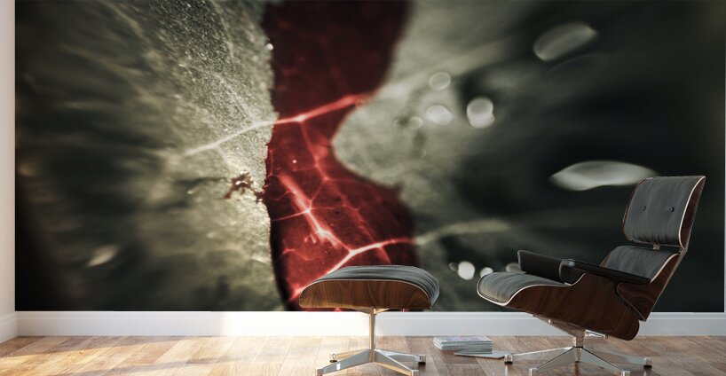 Bloody leaf evidence at a forest crime scene  Wall Murals