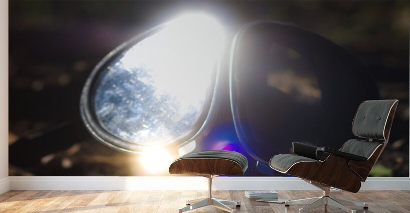 Conflict Of Battle Wall Murals