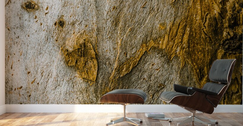 From the woodland Wall Murals